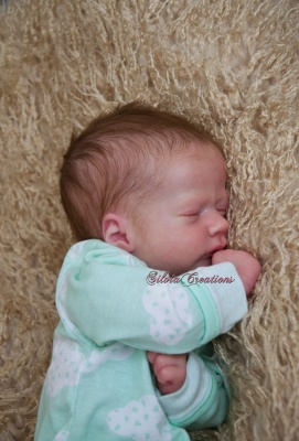 ashley reborn kit